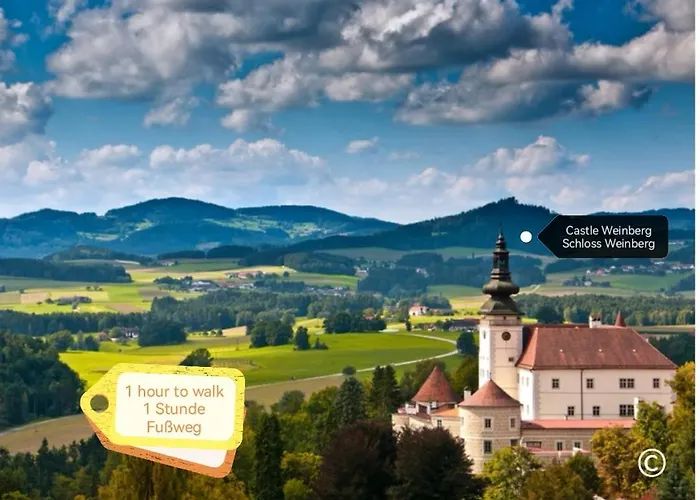 Mit Garten Und Terrasse Lägenhet Lasberg